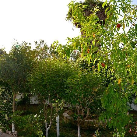 Kostas' Garden Lejlighed Roda  Eksteriør billede