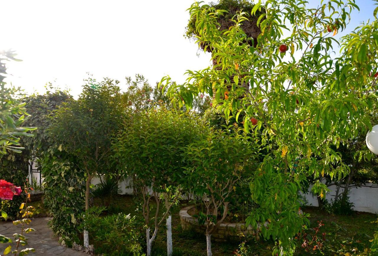 Kostas' Garden Lejlighed Roda  Eksteriør billede